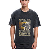 Tokyosol I Am A Dragon And This Dumpster Is My Mountain Of Gold Back Washed T Shirt