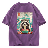Tokyosol Please Give Raccoon A Discount Back Washed T Shirt