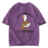 Tokyosol Silly Goose On A Serious Business Washed T-Shirt