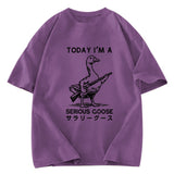 Tokyosol Serious Stupid Goose Women's Crop Raglan T-Shirt