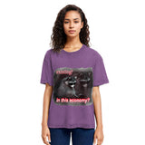Tokyosol Economy Raccoon Meme Washed T Shirt