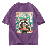 Tokyosol Please Give Raccoon A Discount Classic T Shirt