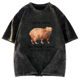 Tokyosol Capybara Gotta Feeling Washed T-Shirt