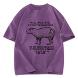 Tokyosol Stupid Capybara Washed T-Shirt