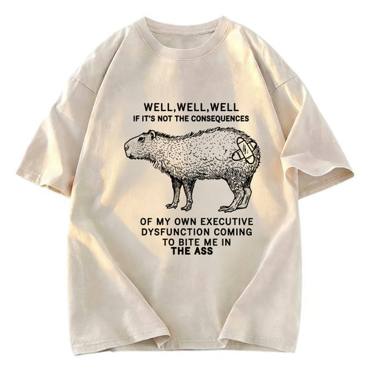 Tokyosol Stupid Capybara Washed T-Shirt