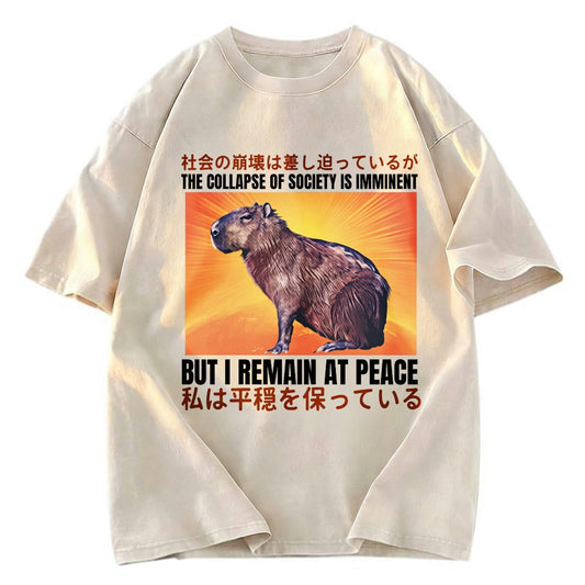 Tokyosol The Collapse of Society is Imminent Washed T-Shirt