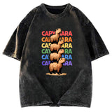 Tokyosol Funny Capybara Washed T-Shirt