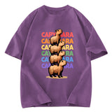 Tokyosol Funny Capybara Washed T-Shirt