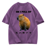 Tokyosol Ok I Pull Up Funny Capybara Washed T-Shirt