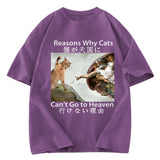 Tokyosol Naughty Cat Can't Go To Heaven Washed T-Shirt