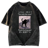 Tokyosol Funny Mysterious Cat Washed T-Shirt