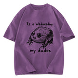 Tokyosol Wednesday Frog Vintage Washed T-Shirt