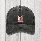 Tokyosol Funny Diphenhydramine Meme Cat Washed Cap