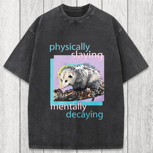 Tokyosol Physically Slaying Mentally Decaying Washed T-Shirt