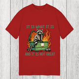 Tokyosol It Is What It Is Dumpster Fire Funny Raccoon Meme Classic T-Shirt
