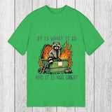 Tokyosol It Is What It Is Dumpster Fire Funny Raccoon Meme Classic T-Shirt