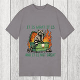 Tokyosol It Is What It Is Dumpster Fire Funny Raccoon Meme Classic T-Shirt