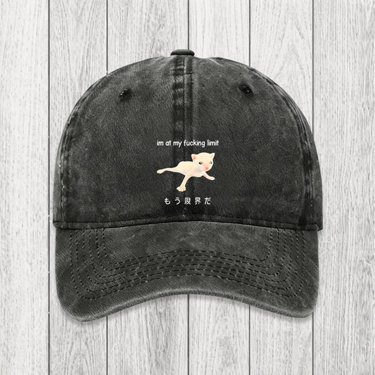 Tokyosol Cat Reaching Its Limit Washed Cap