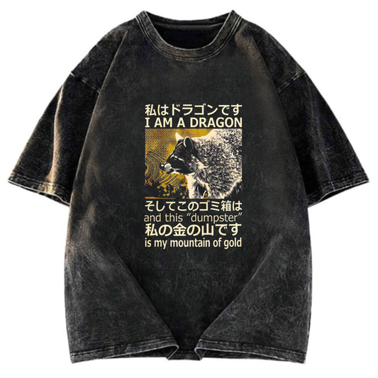 Tokyosol I Am A Dragon And This Dumpster Is My Mountain Of Gold Back Washed T Shirt