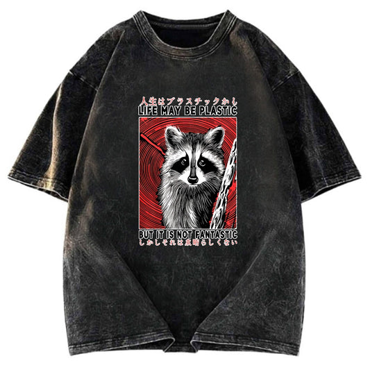 Tokyosol Raccoon Vintage Japanese Washed T Shirt