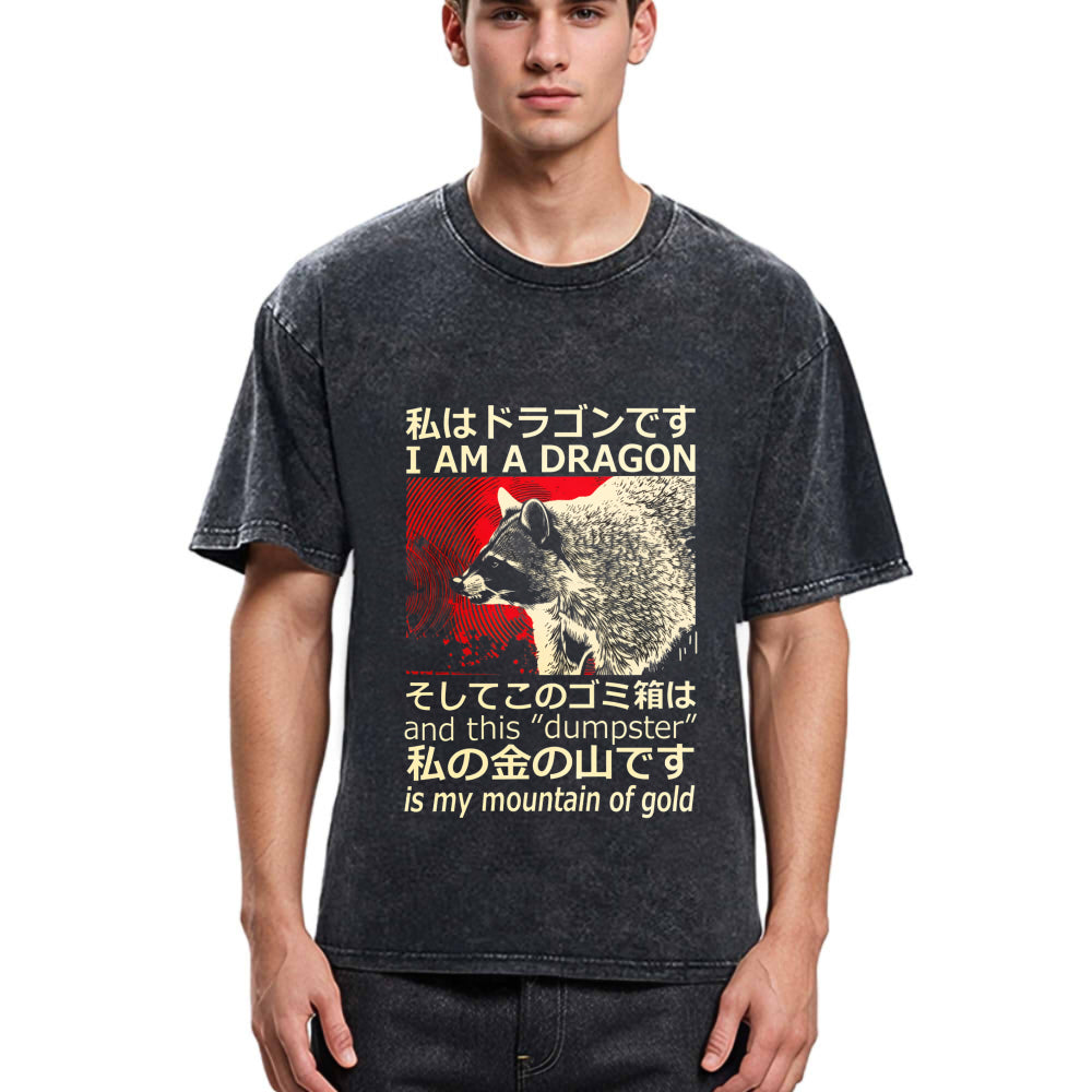 Tokyosol I M A Dragon And This Dumpster Is My Mountain Of Gold Washed T Shirt