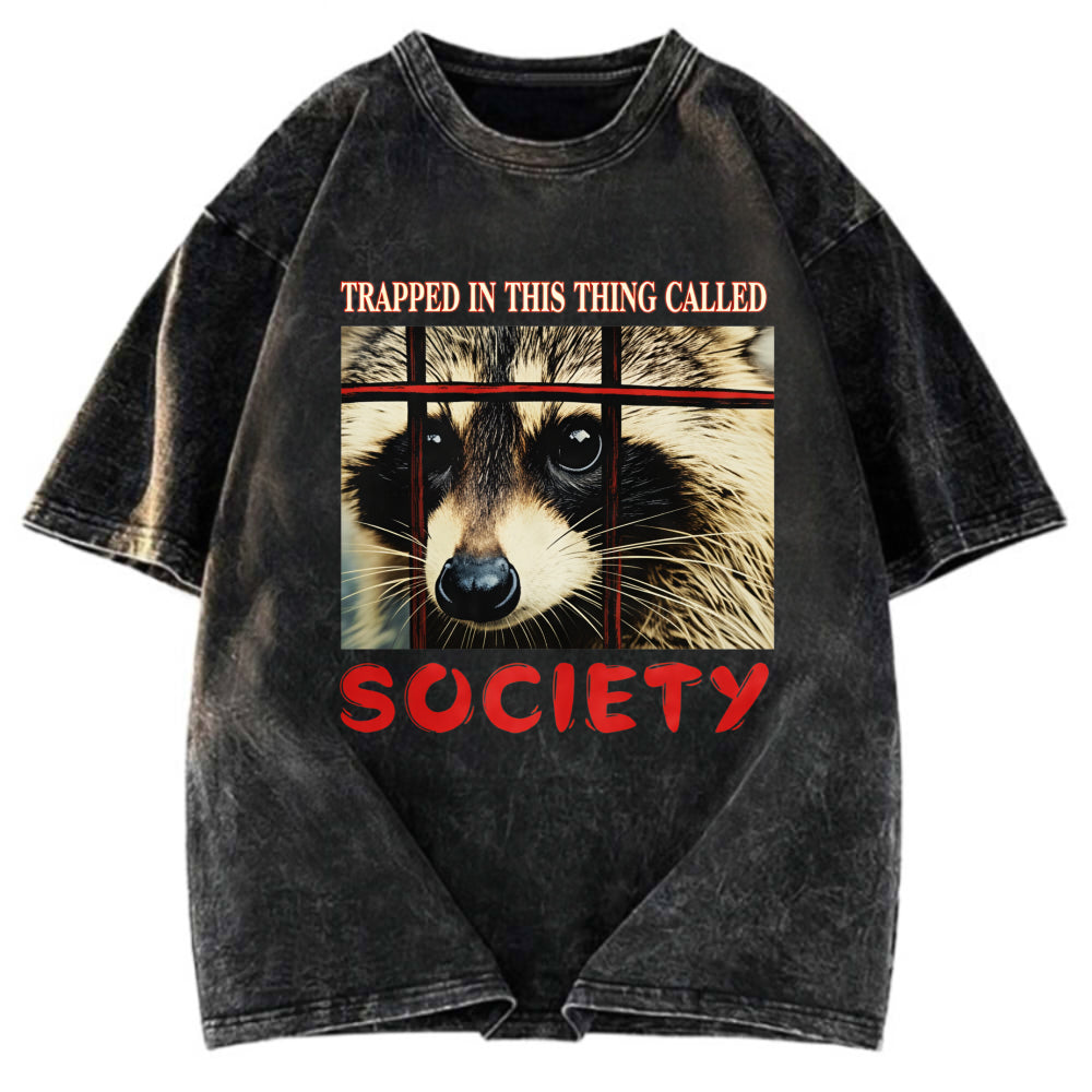 Tokyosol Society Raccoon Washed T Shirt