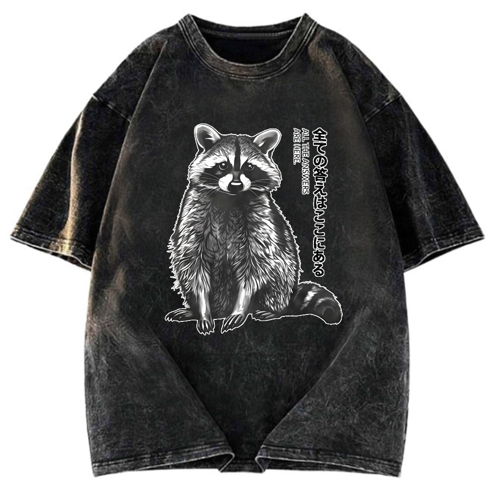 Tokyosol Funny Kawaii Raccoon Washed T Shirt