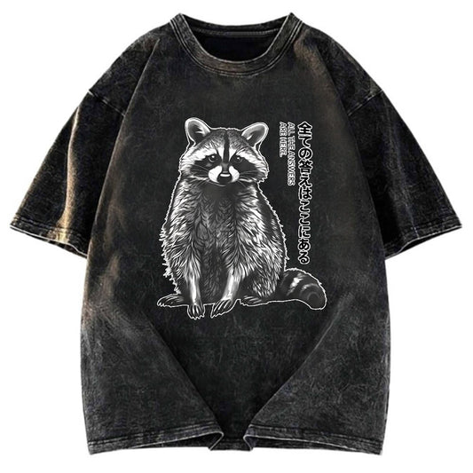 Tokyosol Funny Kawaii Raccoon Washed T Shirt