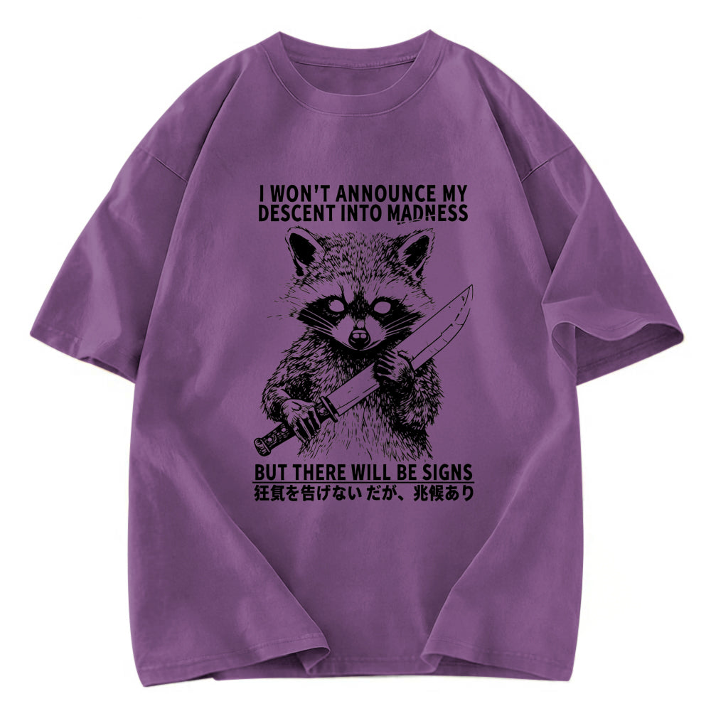 Tokyosol Raccoon Goes Into Madness Washed T Shirt
