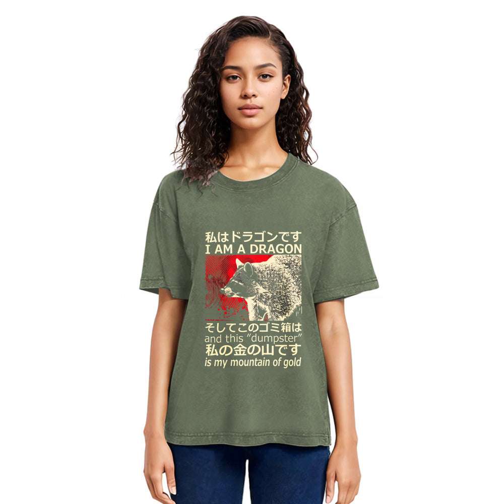 Tokyosol I M A Dragon And This Dumpster Is My Mountain Of Gold Washed T Shirt
