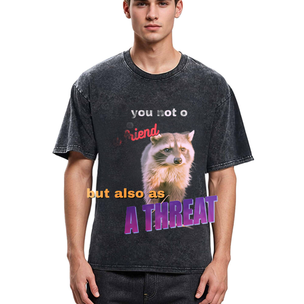 Tokyosol Viral Raccoon Meme Washed T Shirt