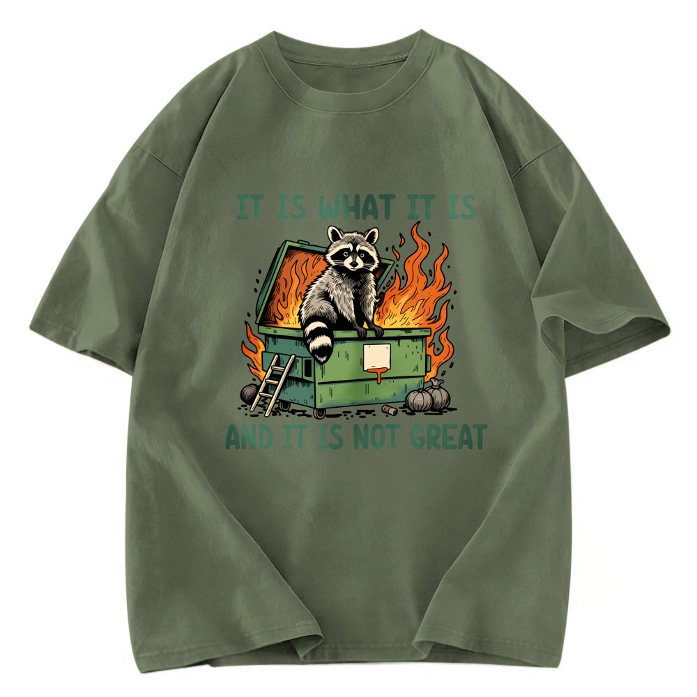 Tokyosol It Is What It Is Dumpster Fire Funny Raccoon Meme Washed T Shirt