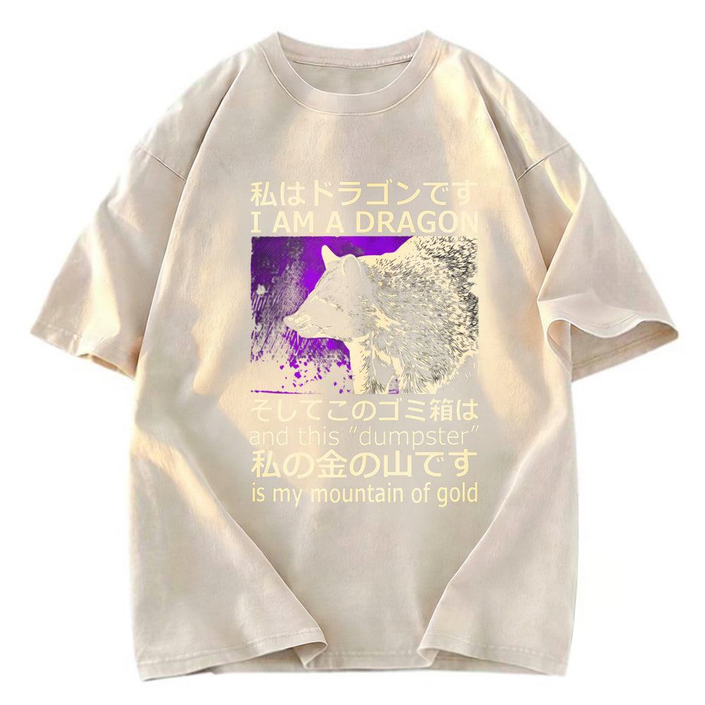 Tokyosol I Am A Dragon And This Dumpster Is My Mountain Of Gold Washed T Shirt