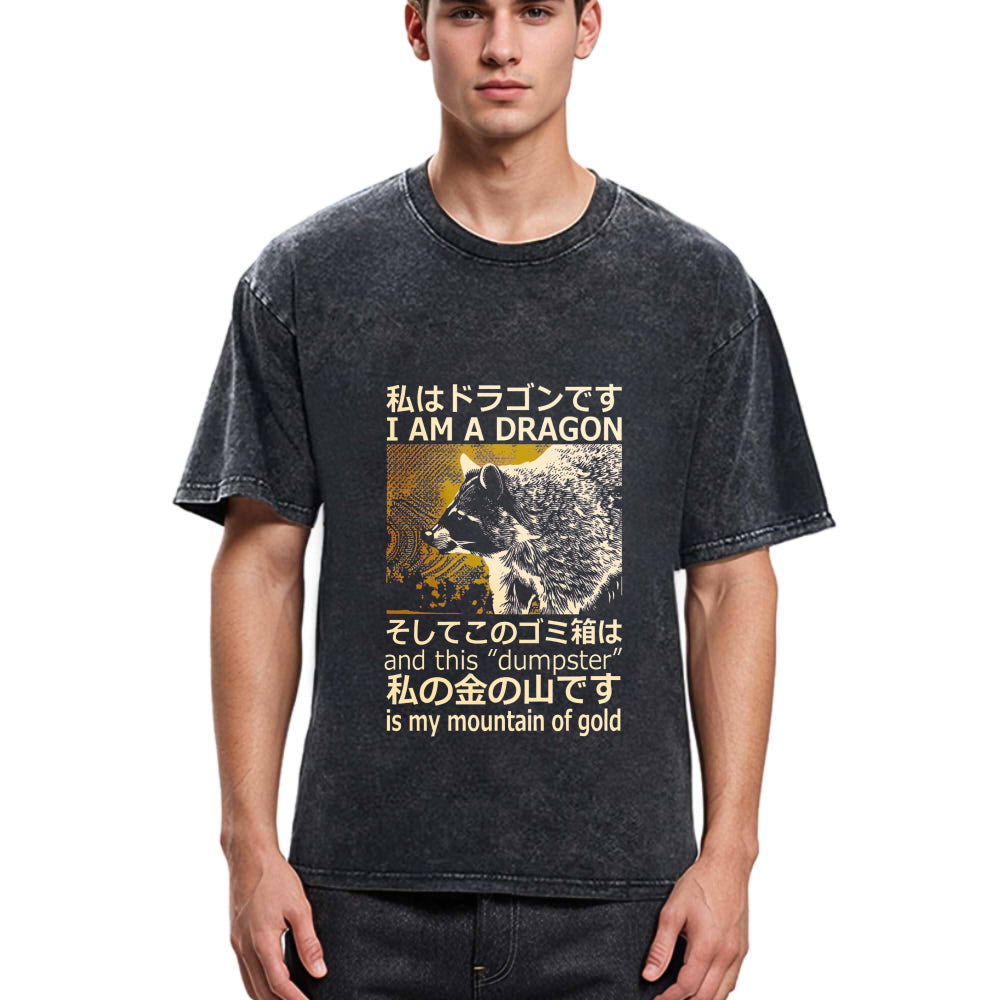 Tokyosol I Am A Dragon And This Dumpster Is My Mountain Of Gold Back Washed T Shirt