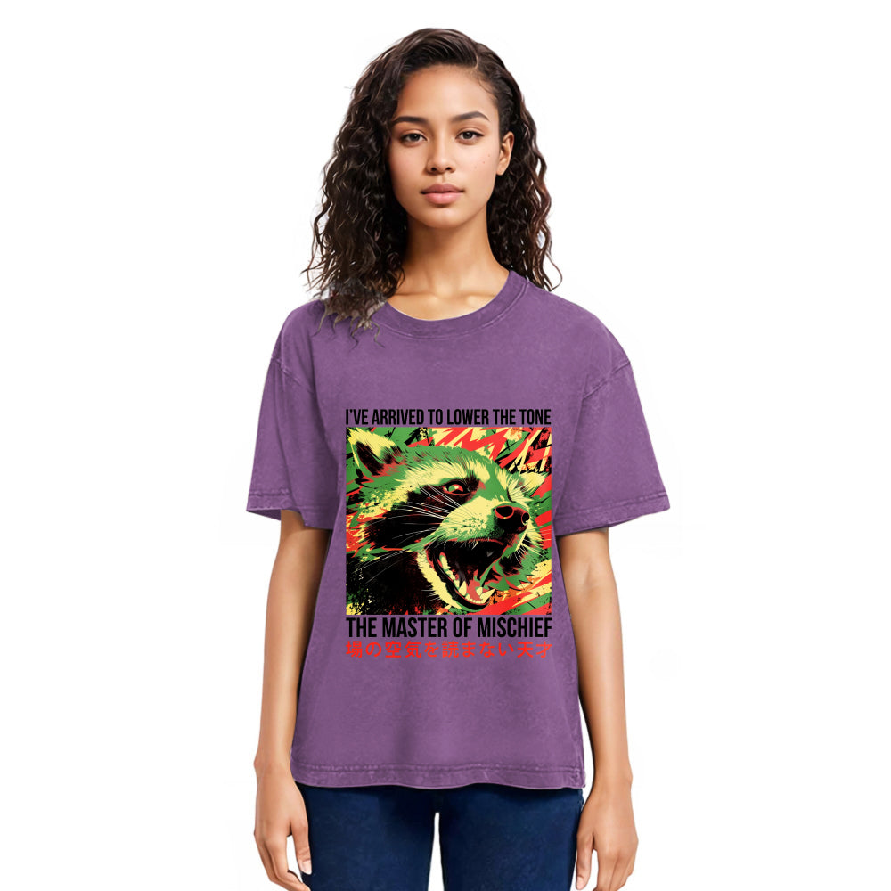 Tokyosol I Ve Arrived To Lower The Tone Washed T Shirt