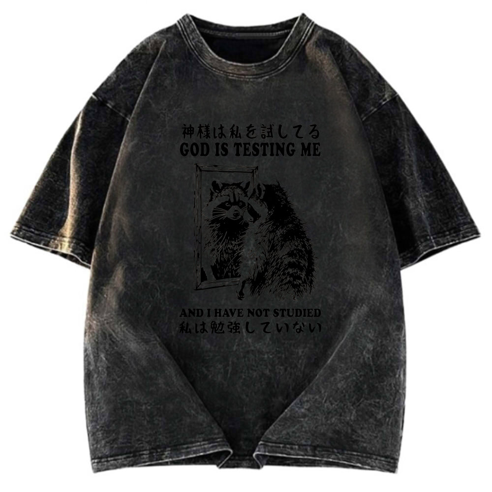 Tokyosol Raccoon Not Studied Washed T Shirt
