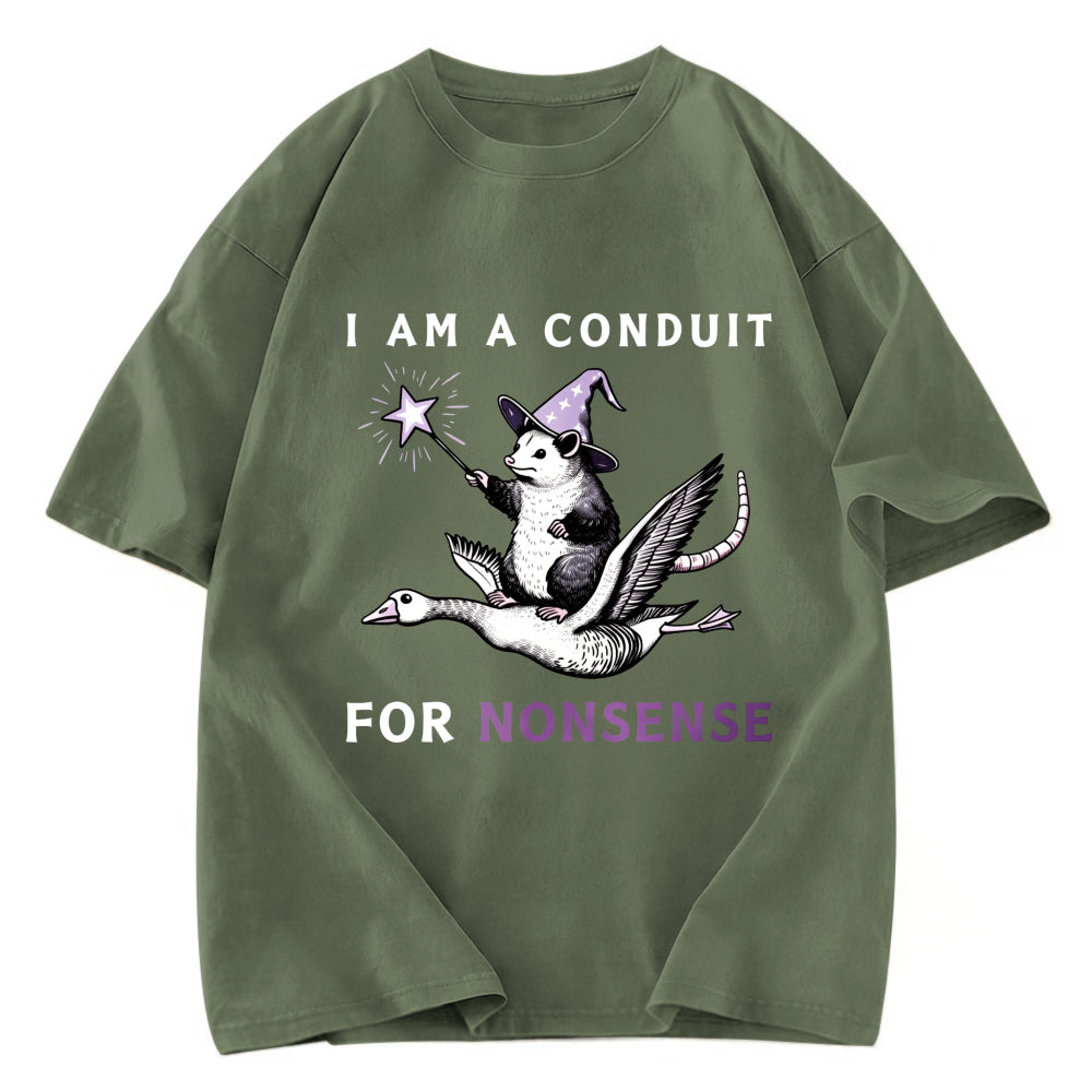 Tokyosol Opossum Riding Flying Goose Washed T Shirt