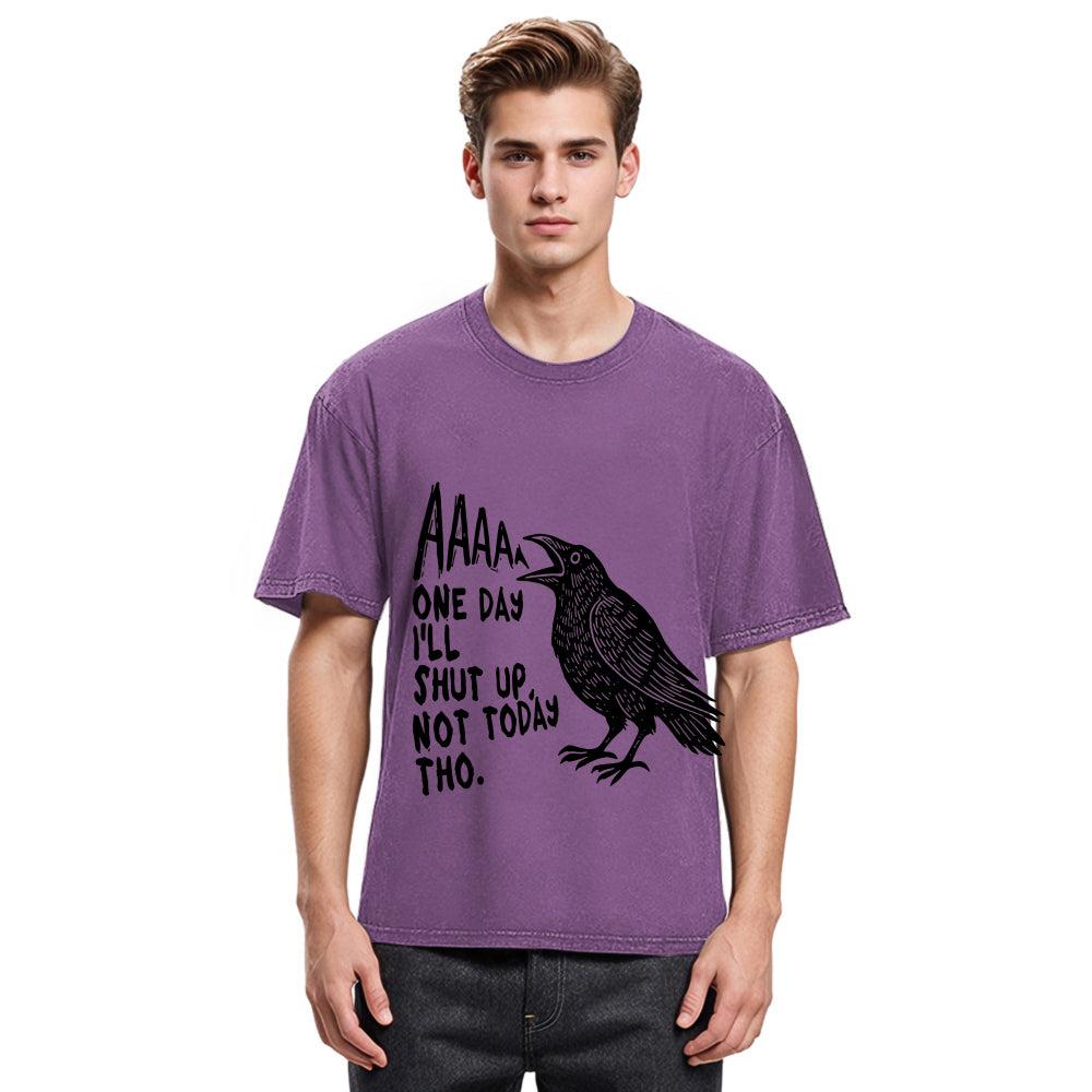 Tokyosol Funny Crow Japan Washed T Shirt