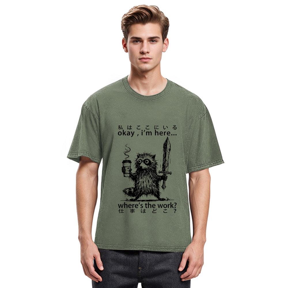 Tokyosol Raccoon Ready To Work Washed T Shirt