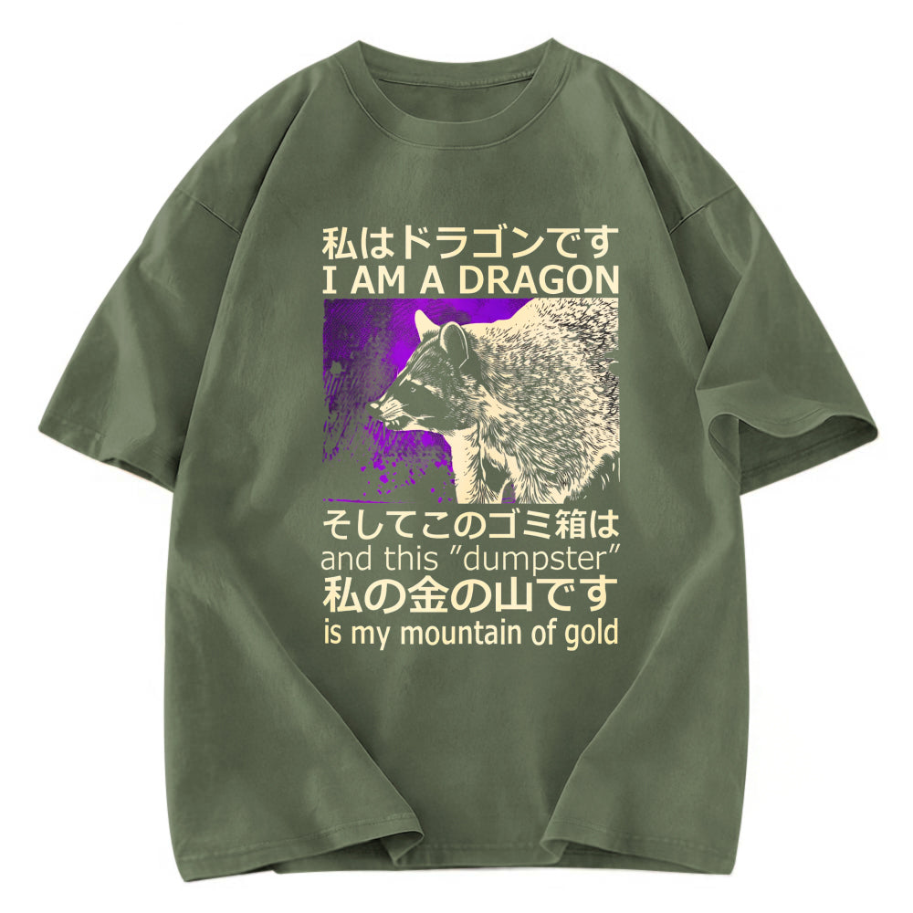 Tokyosol I Am A Dragon And This Dumpster Is My Mountain Of Gold Washed T Shirt