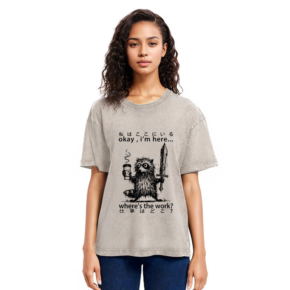 Tokyosol Raccoon Ready To Work Washed T Shirt