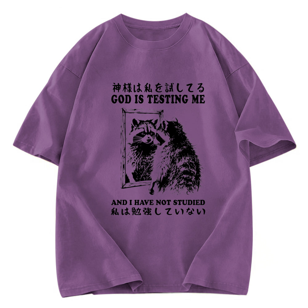 Tokyosol Raccoon Not Studied Classic T Shirt