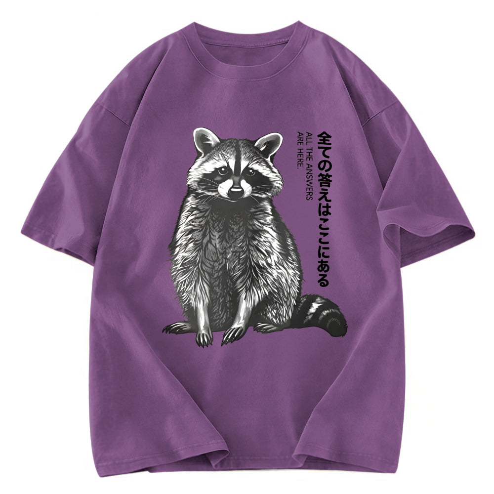 Tokyosol Funny Kawaii Raccoon Washed T Shirt