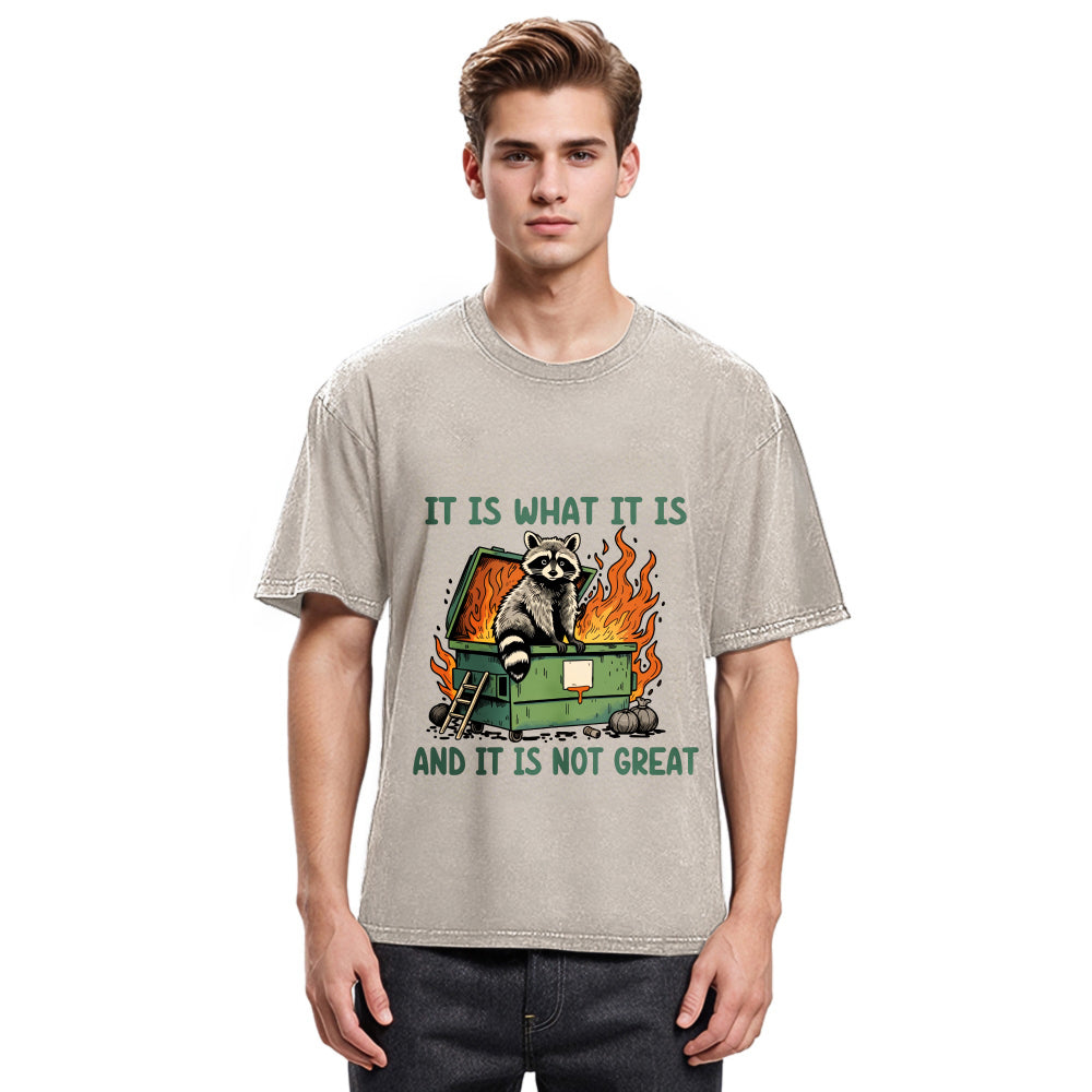 Tokyosol It Is What It Is Dumpster Fire Funny Raccoon Meme Washed T Shirt