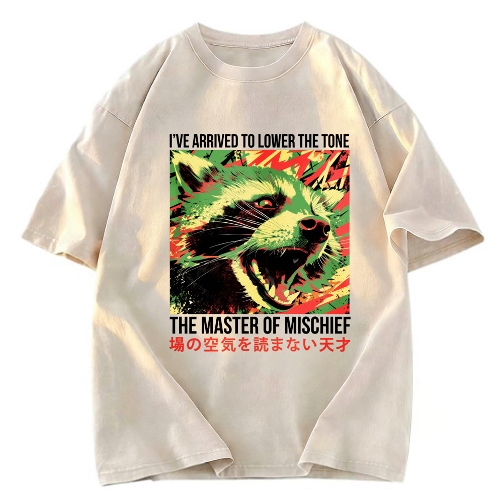 Tokyosol I Ve Arrived To Lower The Tone Washed T Shirt