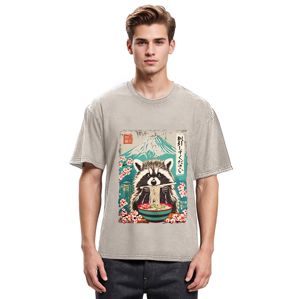 Tokyosol Please Give Raccoon A Discount Back Washed T Shirt