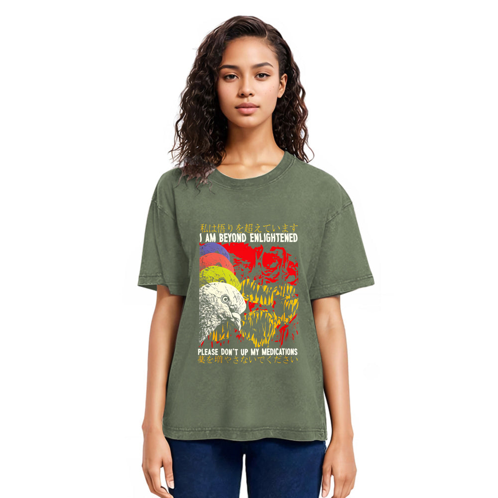 Tokyosol Beyond Enlightened Vintage Pigeon Washed T Shirt
