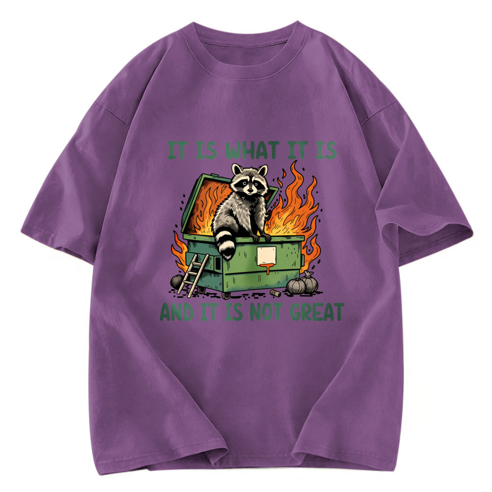 Tokyosol It Is What It Is Dumpster Fire Funny Raccoon Meme Washed T Shirt