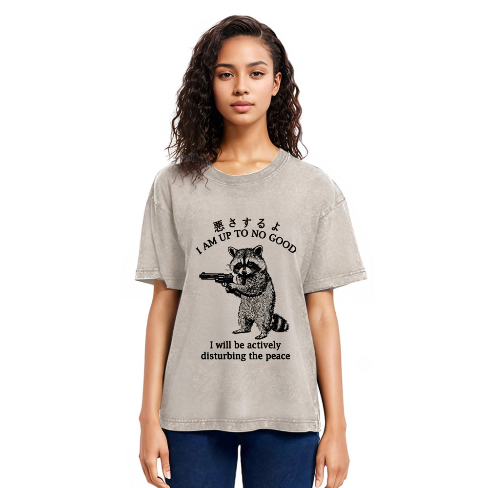 Tokyosol Raccoon Disturbing The Peace Washed T Shirt