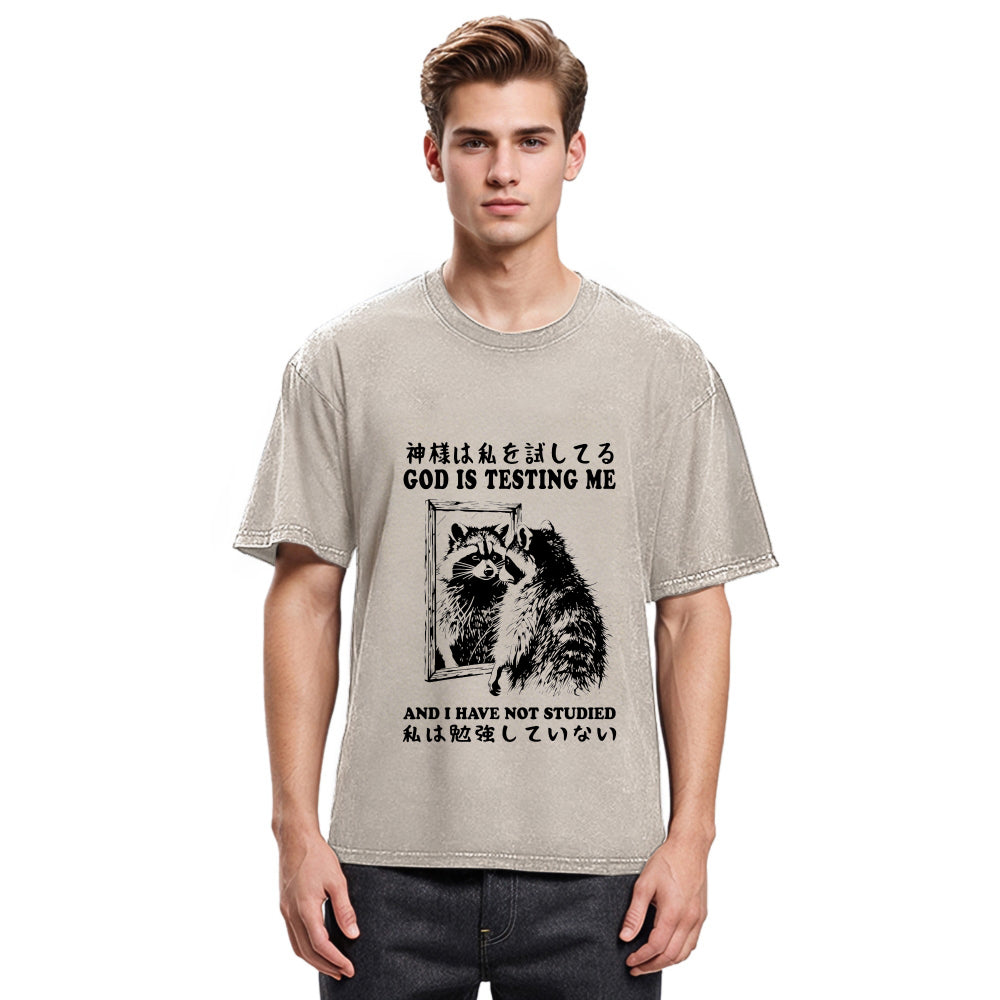 Tokyosol Raccoon Not Studied Classic T Shirt